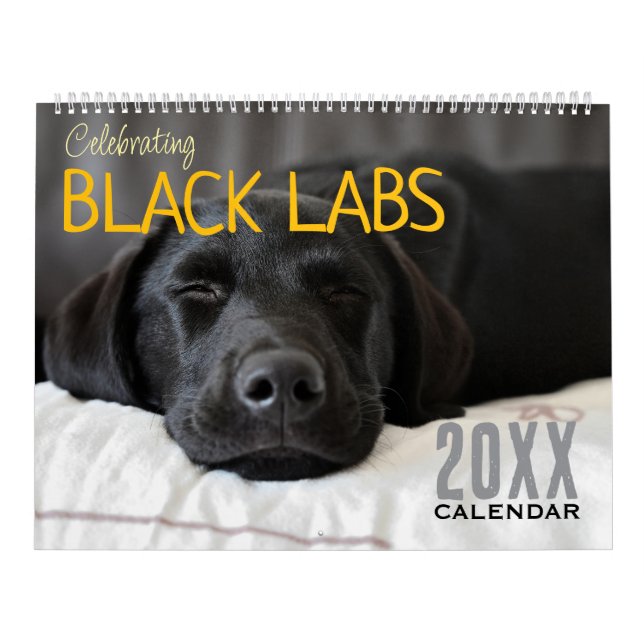 Calendário Celebrating Black Labs Labrador Dog Calendar 2026  (Capa)