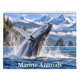 Calendário Cênico da Vida Selvagem Oceânica