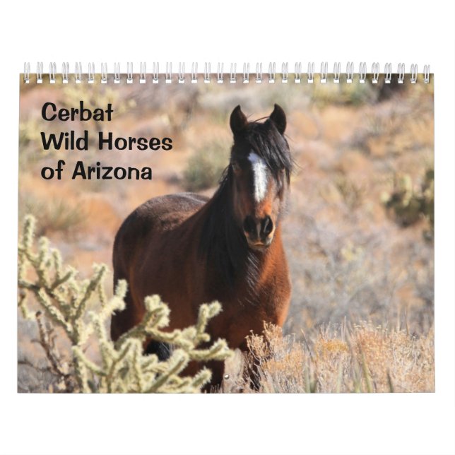 Calendário Cerbat Wild Horses Calendar (Capa)