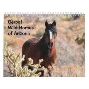 Calendário Cerbat Wild Horses Calendar