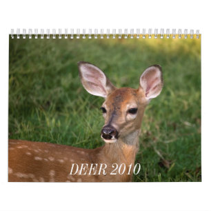 CALENDÁRIO CERVOS 2010