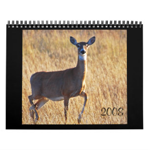 Calendário Cervos de Whitetail na duna!