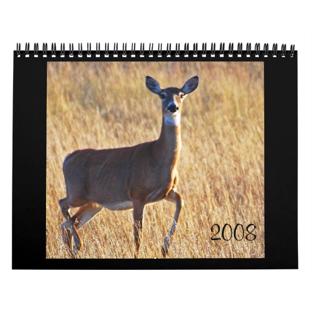 Calendário Cervos de Whitetail na duna! (Capa)