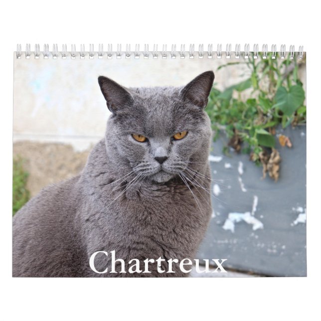 Calendário Chartreux (Capa)