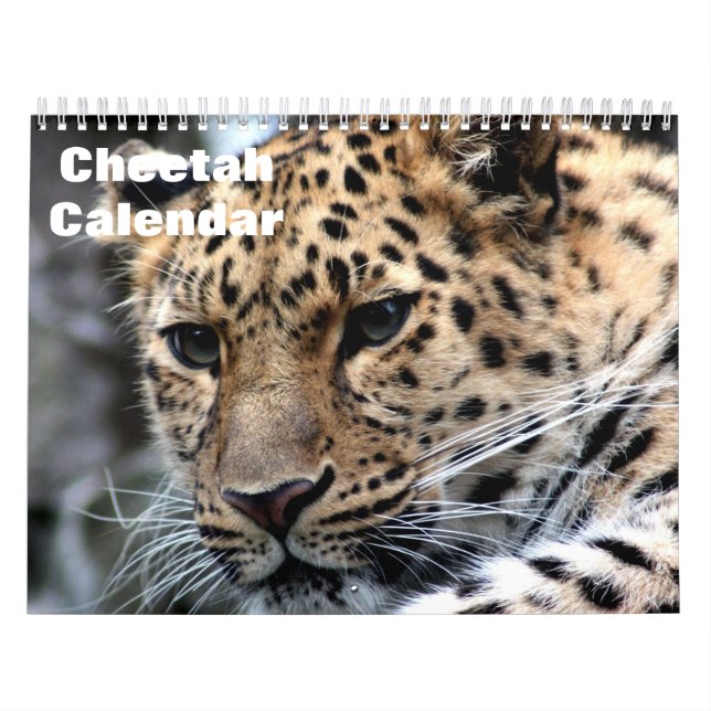 Calendário Cheetah 2025 (Capa)