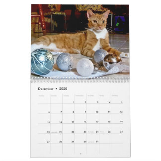 Calendário Cheeto Dacutecat 2020