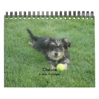 Calendário Chewie: Um ano nas imagens