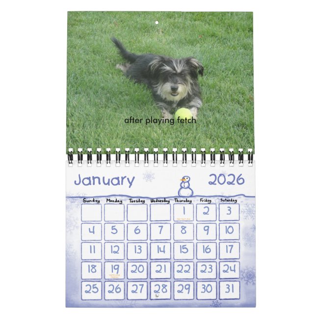 Calendário Chewie: Um ano nas imagens (Jan 2026)