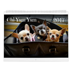 Calendário Chi Yum 2017