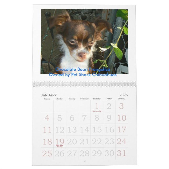 Calendário Chihuahua 2011 Calander (Jan 2026)