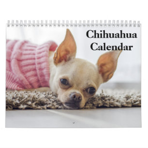 Calendário Chihuahua 2022