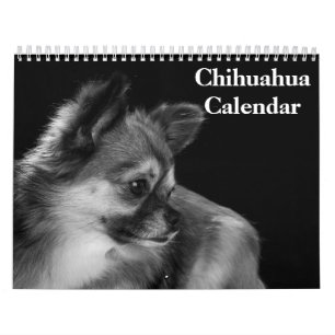 Calendário Chihuahua 2025