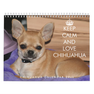 Calendário Chihuahua 2026 Fique Calmo E Com Amor