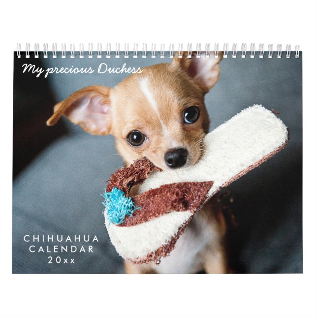 Calendário Chihuahua 2026 Suas Fotos Pet (Capa)