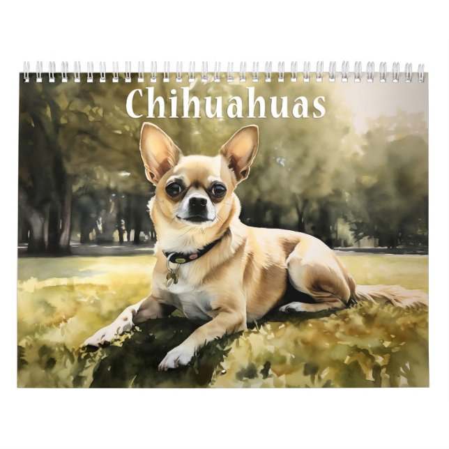 Calendário Chihuahua, a qualquer ano (Capa)