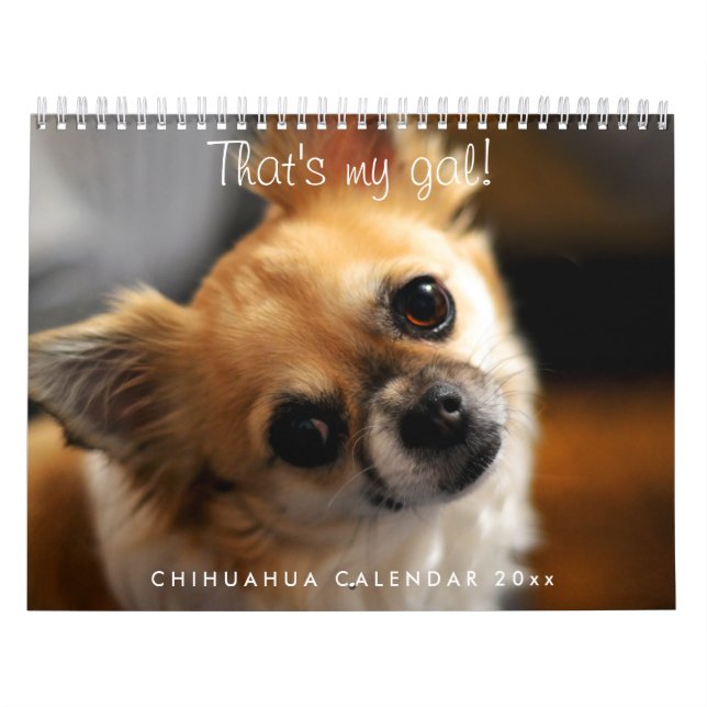 Calendário Chihuahua Calendar 2023 Esse é o meu Gal (Capa)