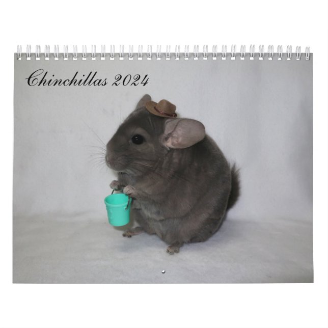Calendário Chinchilla Calendar (Capa)