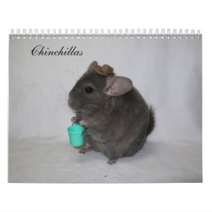 Calendário Chinchilla Calendar