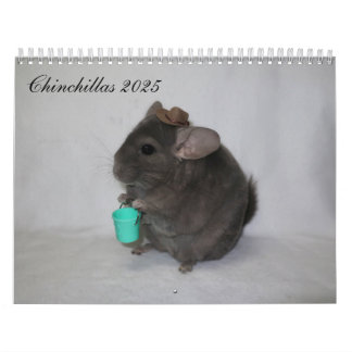 Calendário Chinchilla Calendar