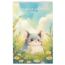 Chinchillin' todo o ano 2025