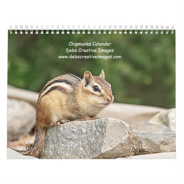 Calendário Chipmunk 2026 (Capa)