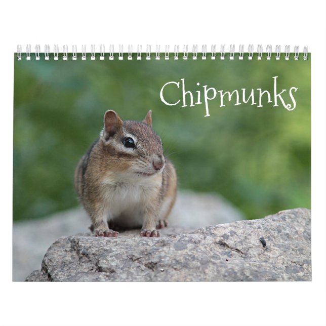 Calendário Chipmunks (Capa)