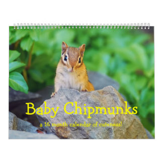 Calendário Chipmunks 2016/2017 do bebê (calendário de 16