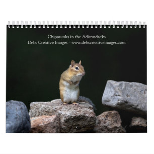 Calendário Chipmunks 2022 nos Adirondacks