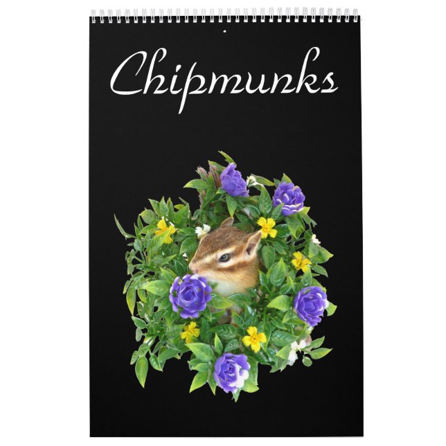 Calendário chipmunk's calendar  (All countries) (Capa)