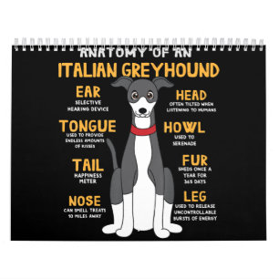 Calendário Cientista Italiano Anatomia Engraçado Cachorro M