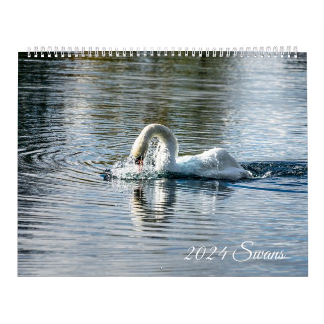 Calendário Cisnes 2024 (Capa)