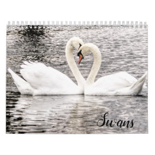 Calendário Cisnes de Spring Grove
