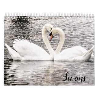 Calendário Cisnes de Spring Grove