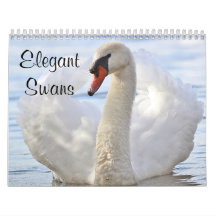 Cisnes elegantes