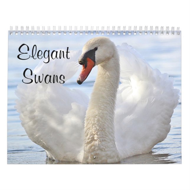 Calendário Cisnes elegantes (Capa)