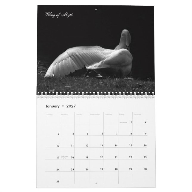Calendário Cisnes mágicas 2011 (Jan 2027)