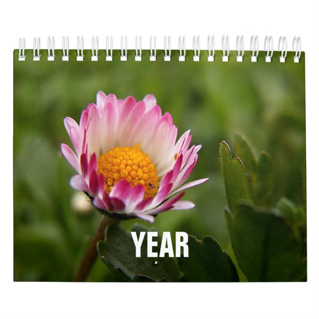 Calendário Clássico, Familar (Capa)