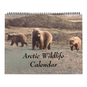 Calendário Classy Artic Wildlife Alaska Foto projetada