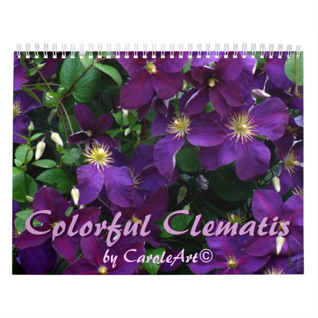 Calendário Clematis colorido 2013 de Z (Capa)