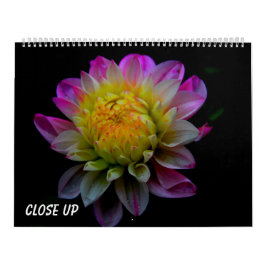 Calendário Close up