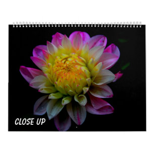 Calendário Close up