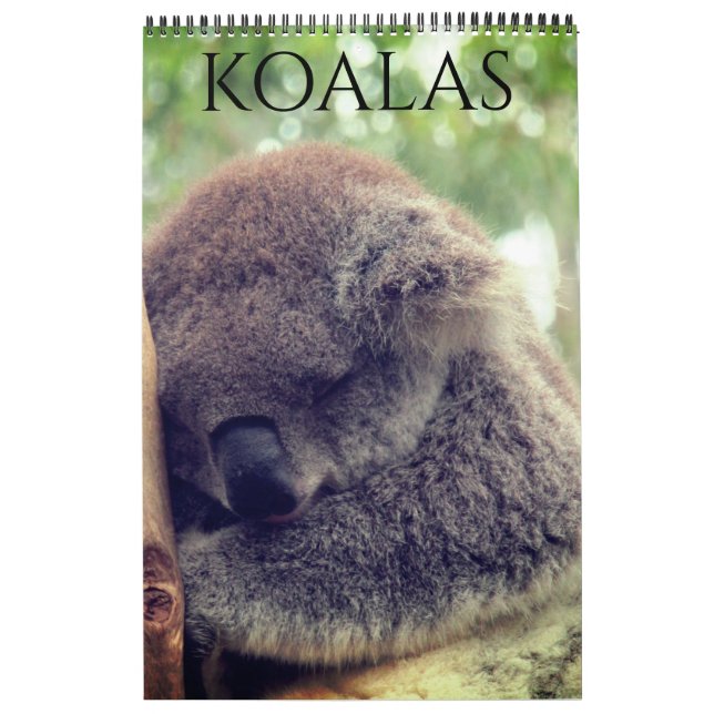 Calendário coalas australianos 2027 (Capa)
