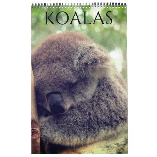 Calendário coalas australianos 2027