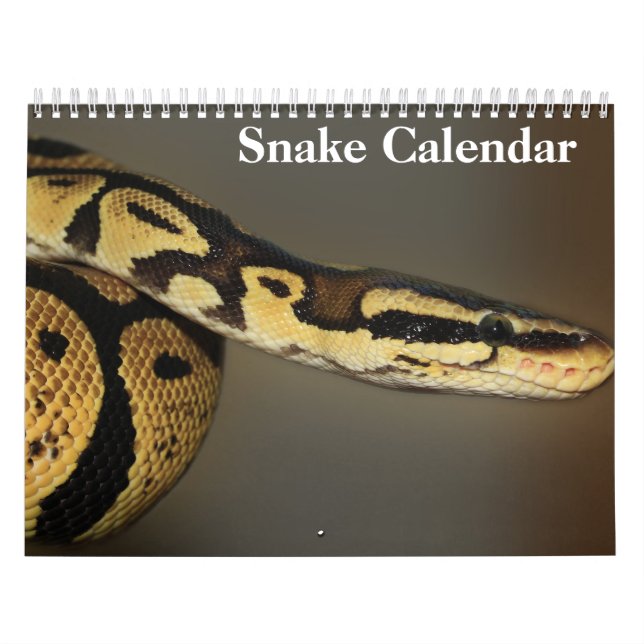 Calendário Cobra Calendar 2025 (Capa)