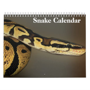 Calendário Cobra Calendar 2025