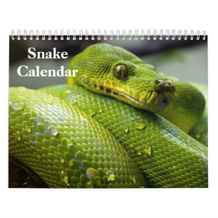 Calendário Cobra Calendar 2025
