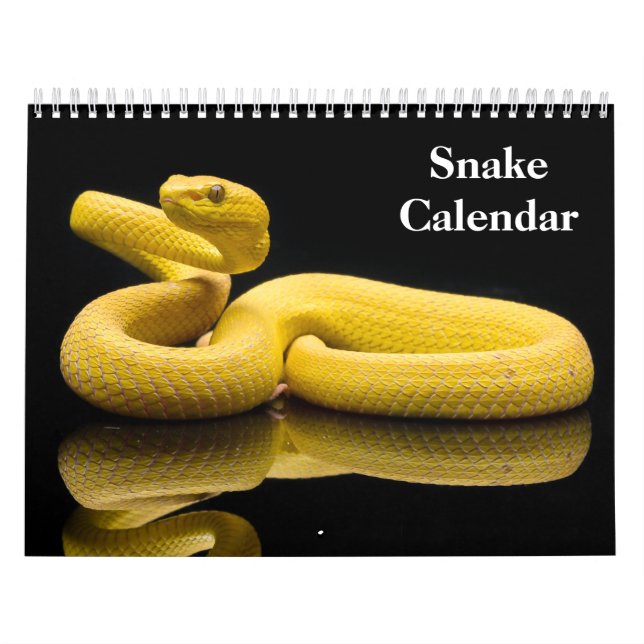 Calendário Cobra Calendar 2026 (Capa)