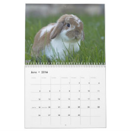 Calendário Coelhos 2016 - 12 meses de coelhos de coelho