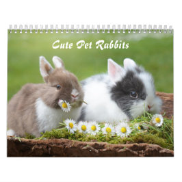 Calendário Coelhos Coelhinhos De Pet