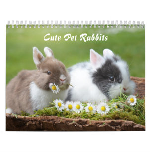 Calendário Coelhos Coelhinhos De Pet